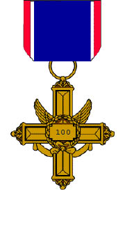 100-Day Service Medal.jpg