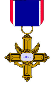1000-day Service Medal.jpg