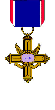 700-day Service Medal.jpg