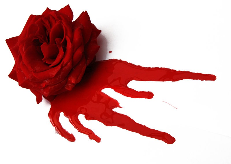 Blood Rose.jpg