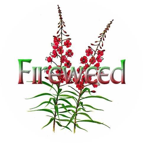 Fireweedcrest.jpg