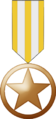 Bronze Star Award.png