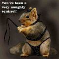 TehSquirrel.jpg