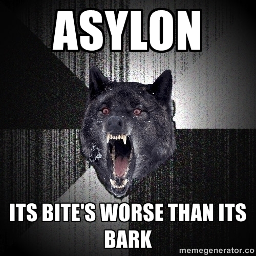 Asylon bear.jpg